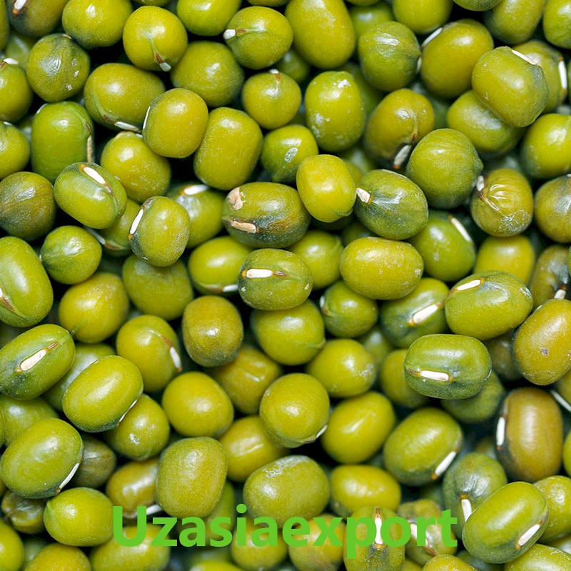 Mung bean